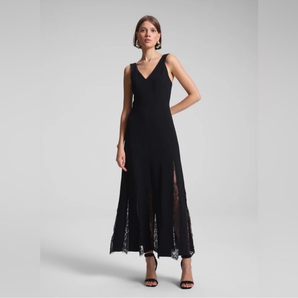 A.L.C. Dresses & Skirts - NWOT A.L.C $795 Emmie Lace Insert Black sleeveless  Midi Dress sz 0